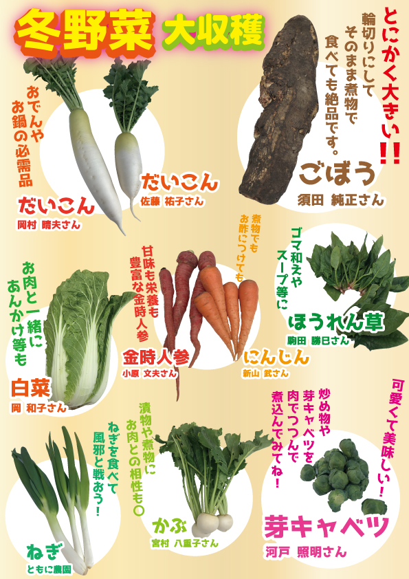 産直野菜　２月
